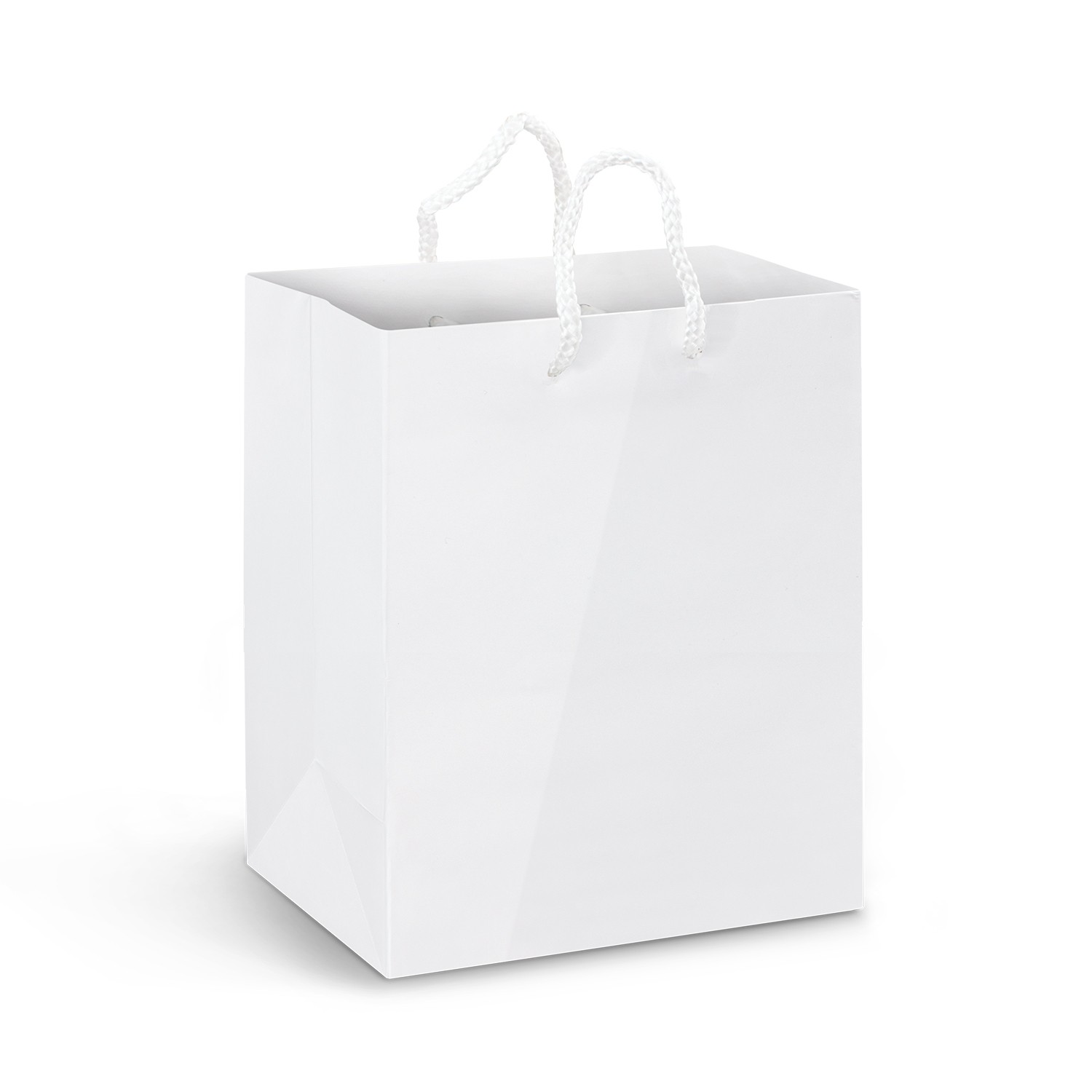 Medium Paper Carry Bags Laminated