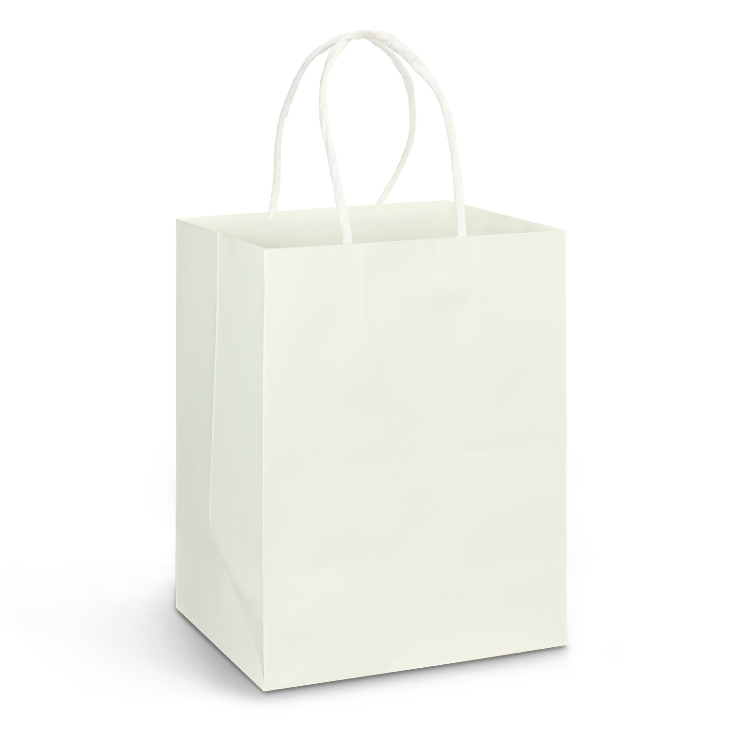 Custom Paper Carry Bags Large