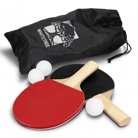 Mobile Ping Pong Kit