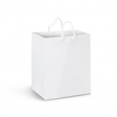 Medium Paper Carry Bags Laminated