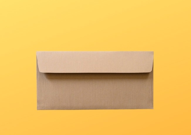 Mail Out Promo Envelope
