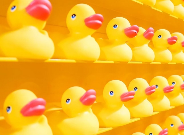 Promotional Rubber Ducks Promotional Rubber Ducks