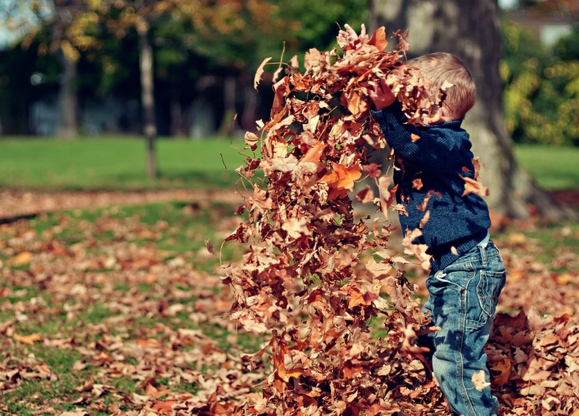 Autumn Promo Time Autumn Promo Time