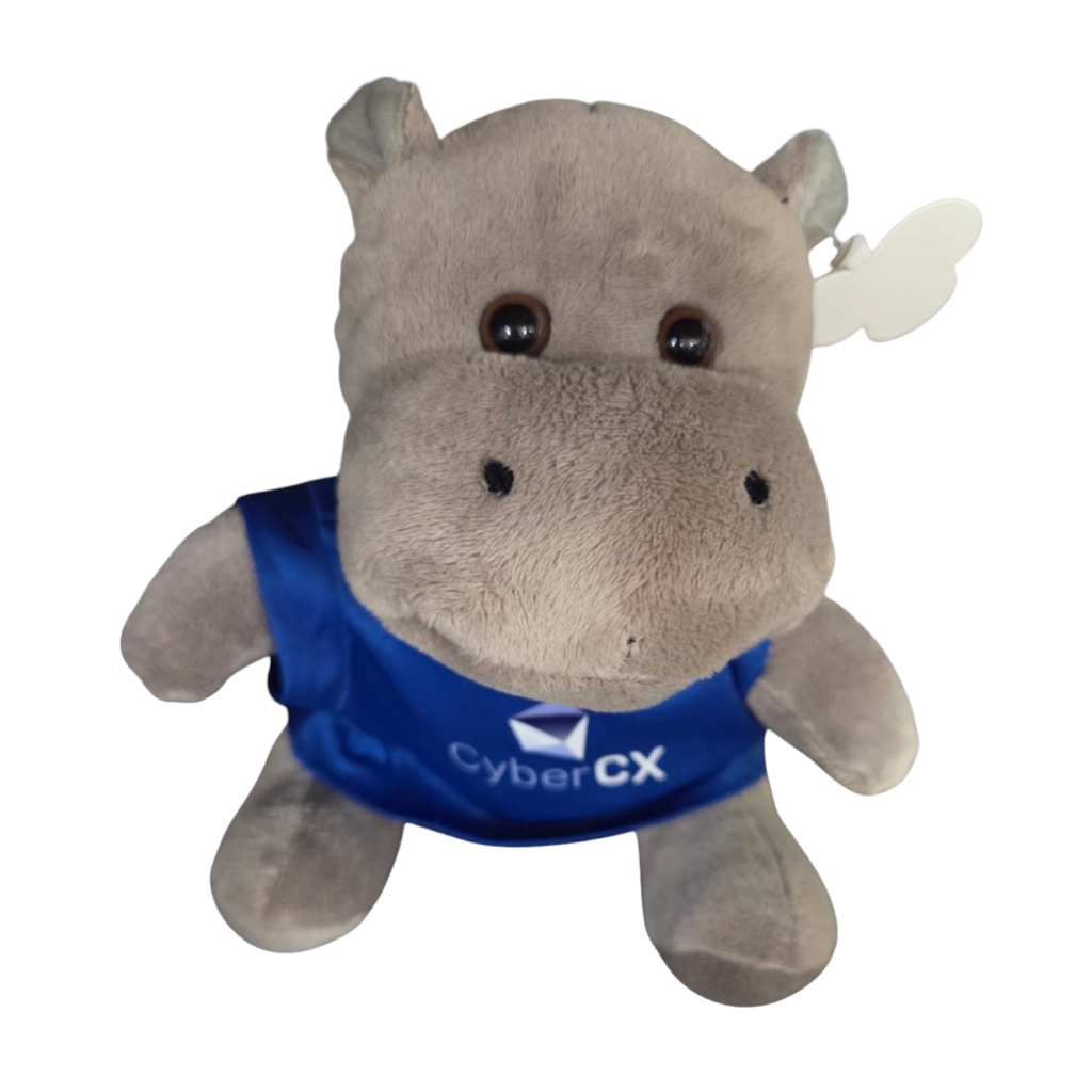 Promotional Products in NZ: What Businesses Buy in 2025