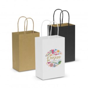 Classic Paper Carry Bags Small