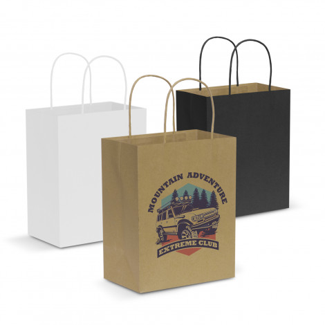 Classic Paper Carry Bags Medium