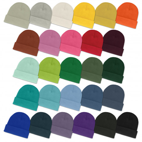 Stanton Colourful Logo Beanies