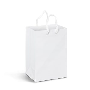 Laminated Custom Small Paper Bags