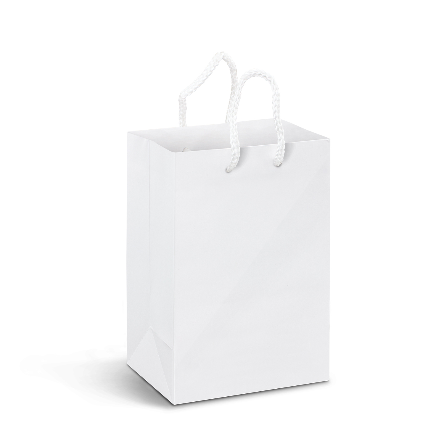 Laminated Custom Small Paper Bags