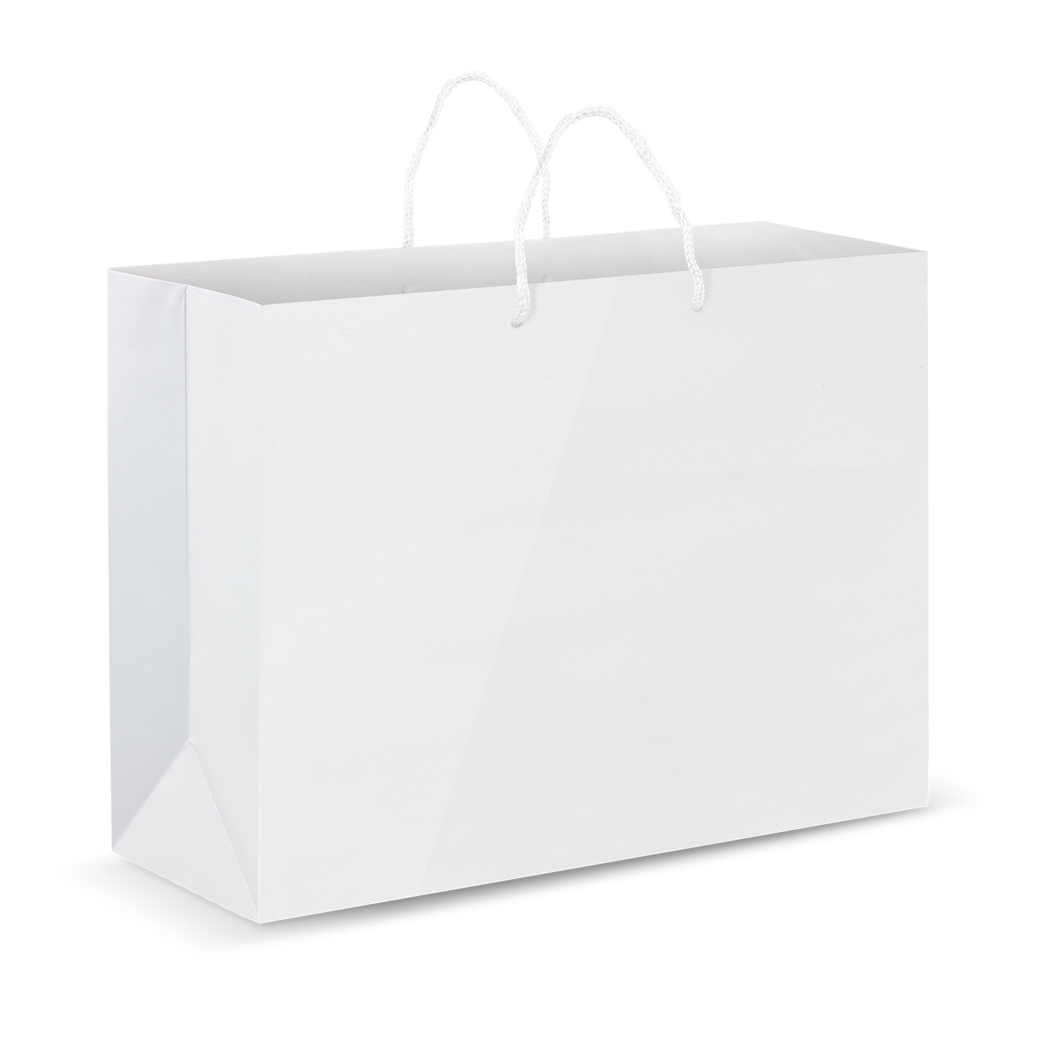 Custom Laminated XL Paper Bags - Image 3
