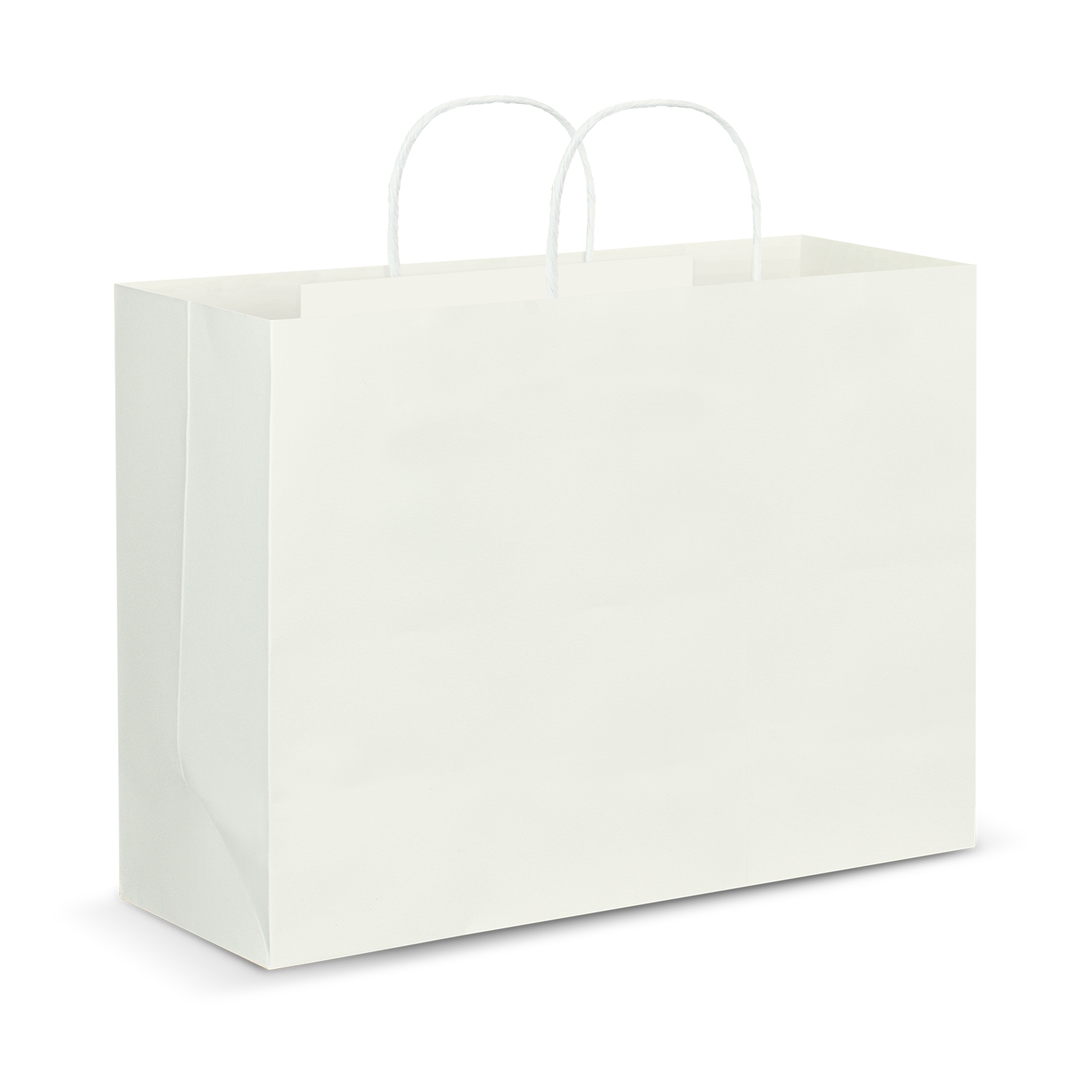 Custom XL Carry Paper Bags