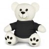 Teddy Cuddle Plush Toys
