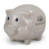 Savings Pig Natural - Image 2