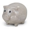 Savings Pig Natural - Image 3