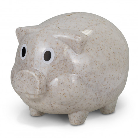 Savings Pig Natural - Image 3