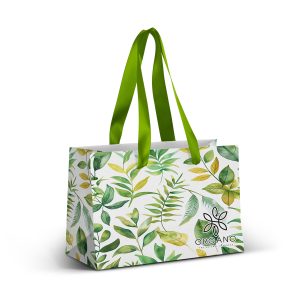 Colourful Ribbon Paper Bags - Small