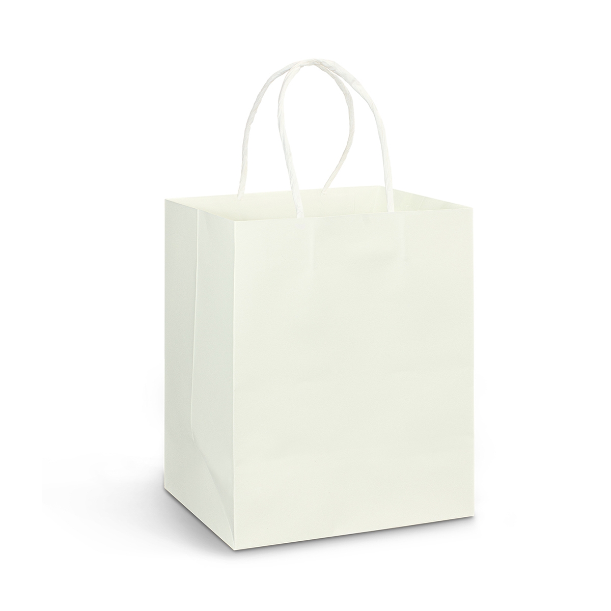 Custom Paper Bags Medium - Image 2