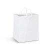 Medium Paper Carry Bags Laminated - Image 2